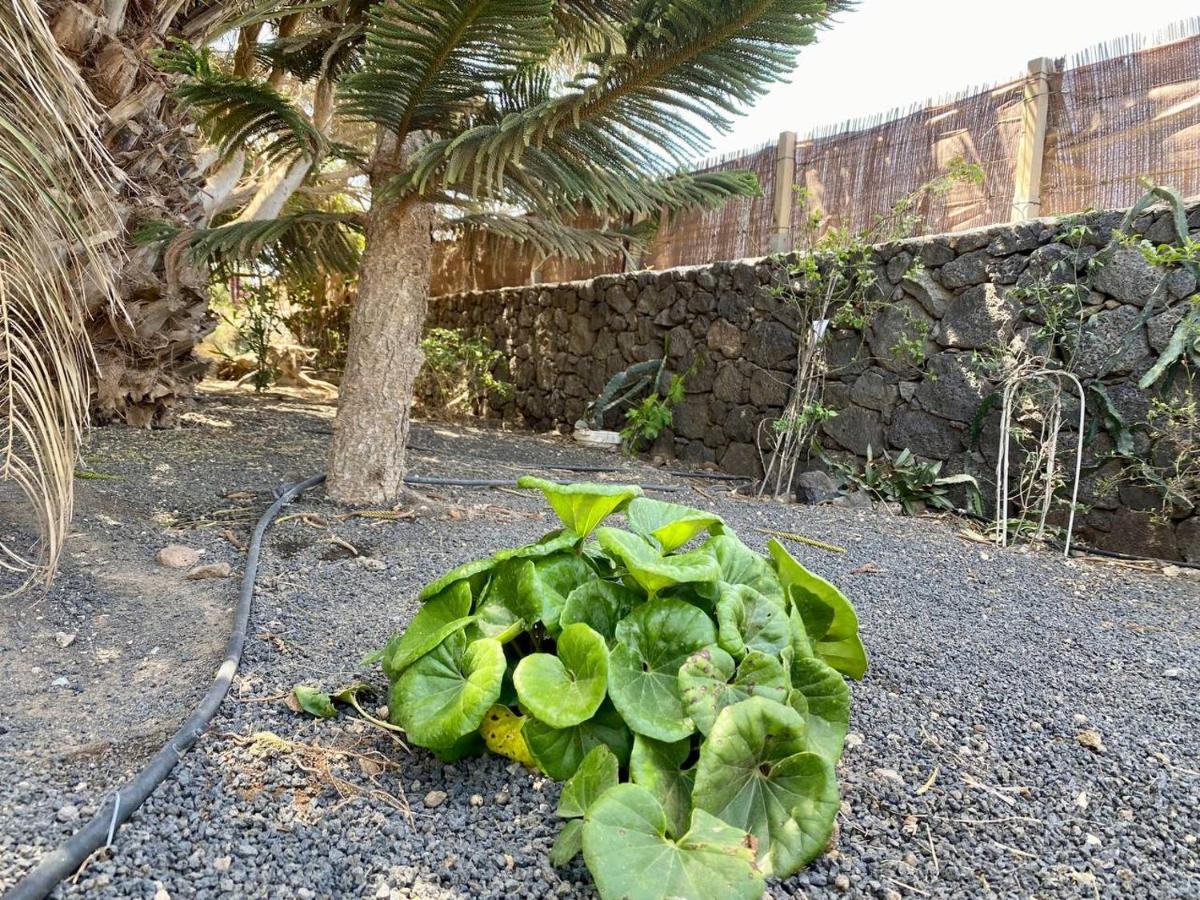 Cabanalanz, Cabanas En Lanzarote San Bartolome  Exterior photo