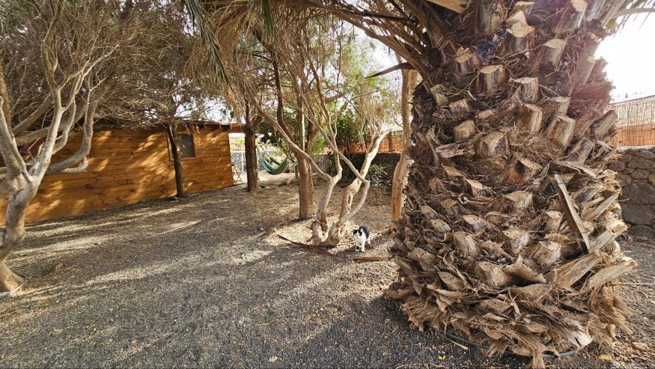 Cabanalanz, Cabanas En Lanzarote San Bartolome  Exterior photo